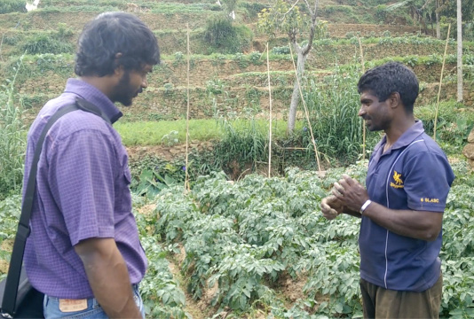 Field Work